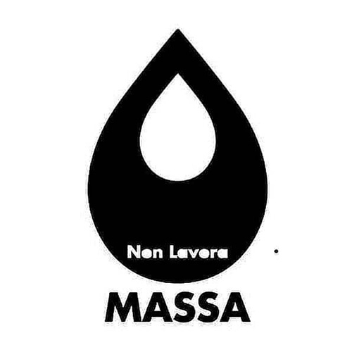 Non Lavora MASSAさんのロゴ画像